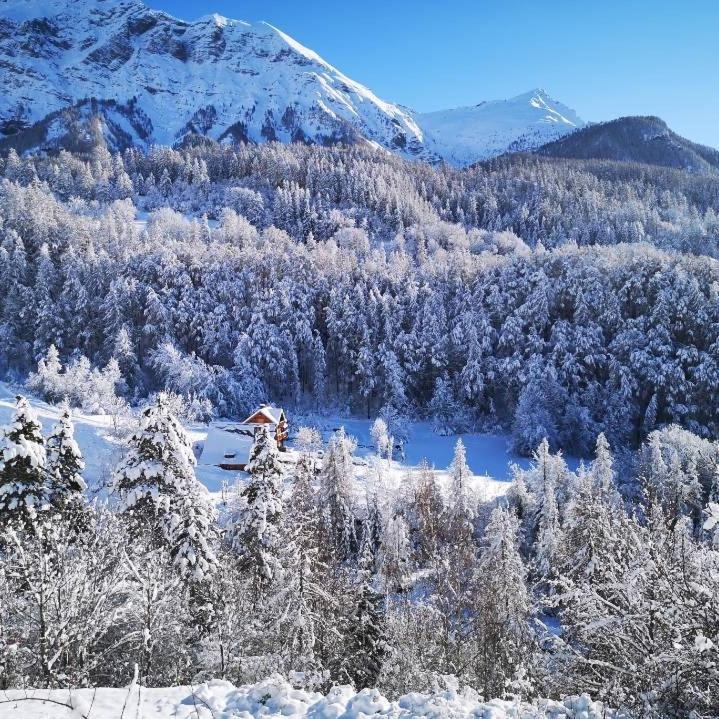Chalet De Pont Peyron L'Ours 奥西耶尔 外观 照片